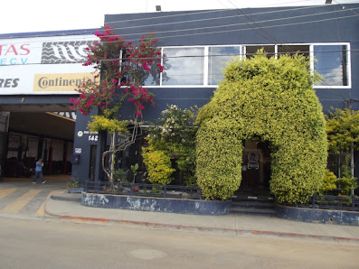 Mercado De Llantas Antequera